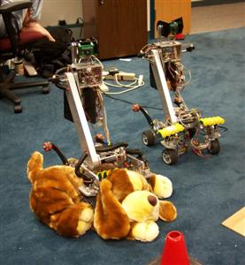 Personal Rover attempts to kill dog/pillow